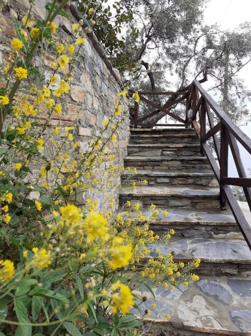 Limnionas Sunview Villa Xorychti Bagian luar foto